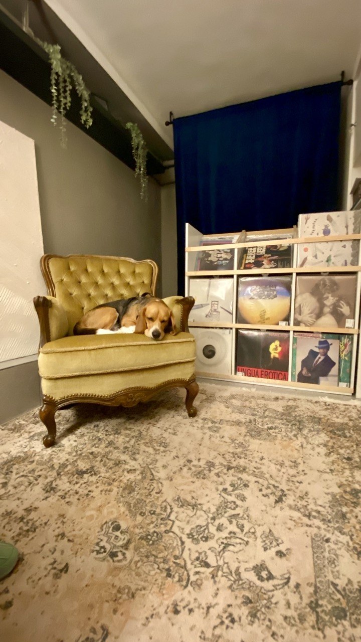Wax Brew Record Shop (Budva)